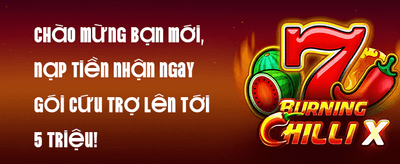 Khuyến Mãi Nạp Lần Đầu promotion